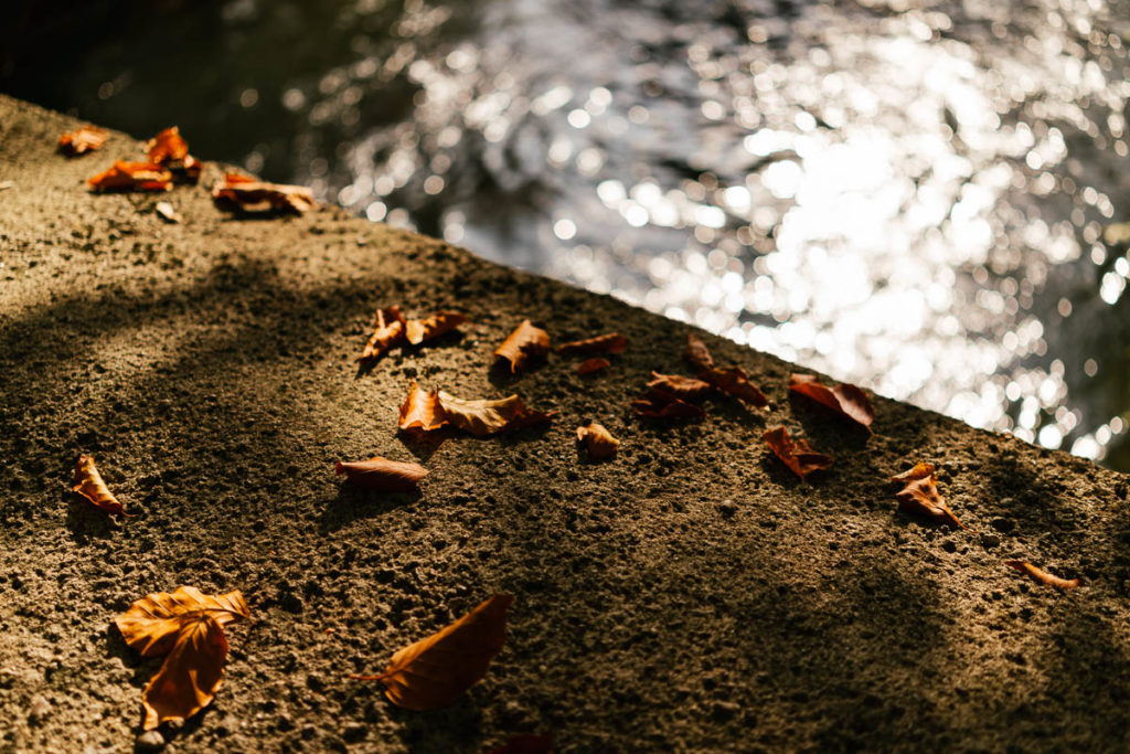 München-Thalkirchen