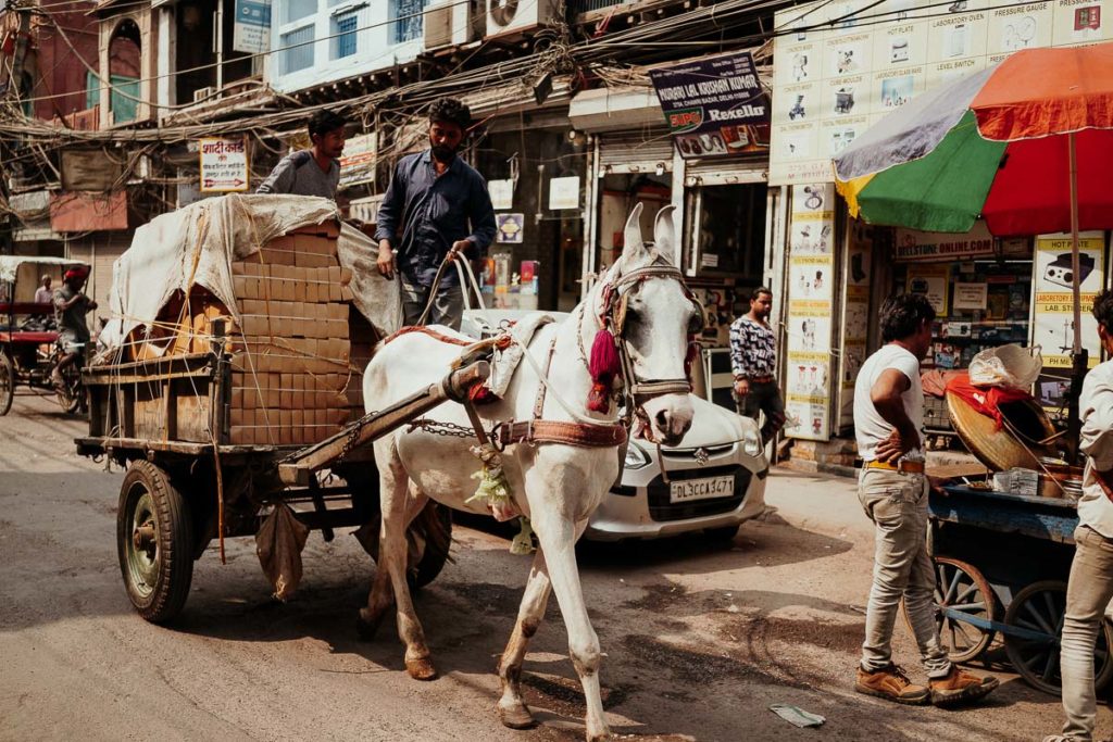 Pferdekarren in Old Delhi