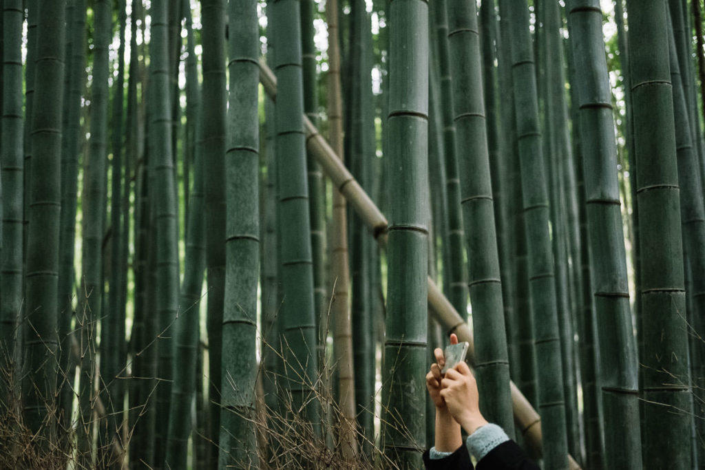 Bambuswald in Osaka und Kyoto