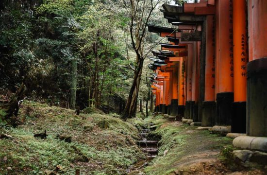 Tore des Fushimi-Inari Schreins in Kyoto
