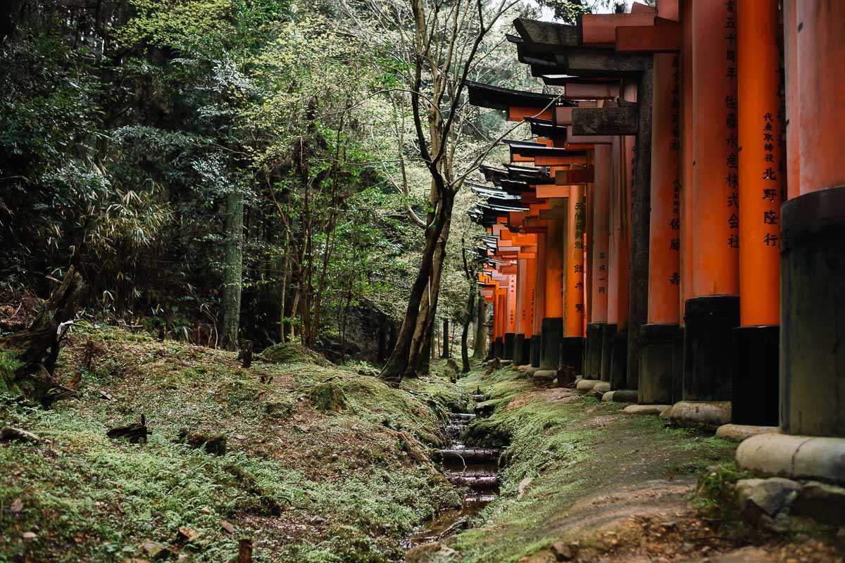 Tore des Fushimi-Inari Schreins in Kyoto