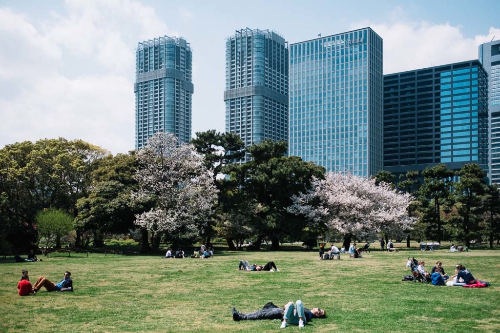 Park in Tokio mit Kirschblüte und Skyline