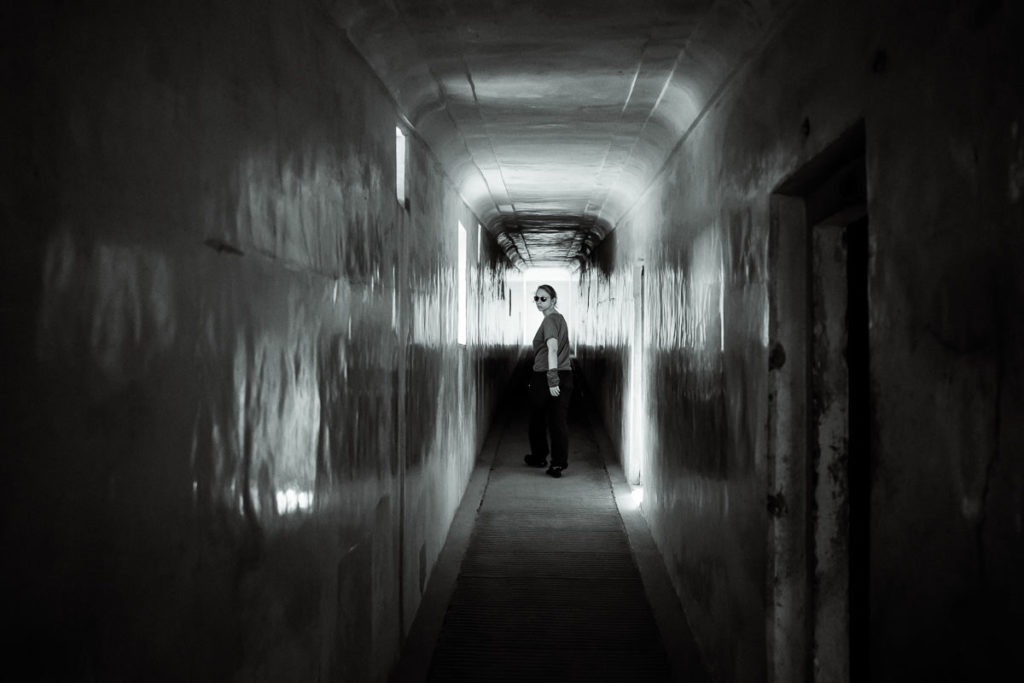 Amer Fort in Jaipur, Rajasthan