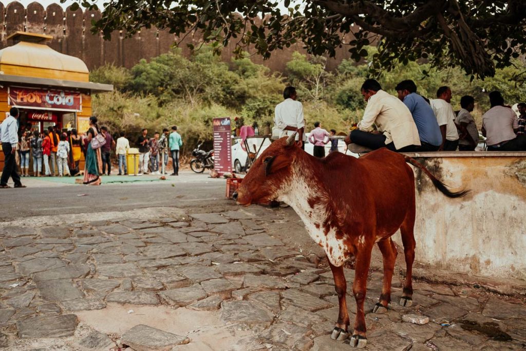 Nahargarh Fort in Jaipur, Rajastahn