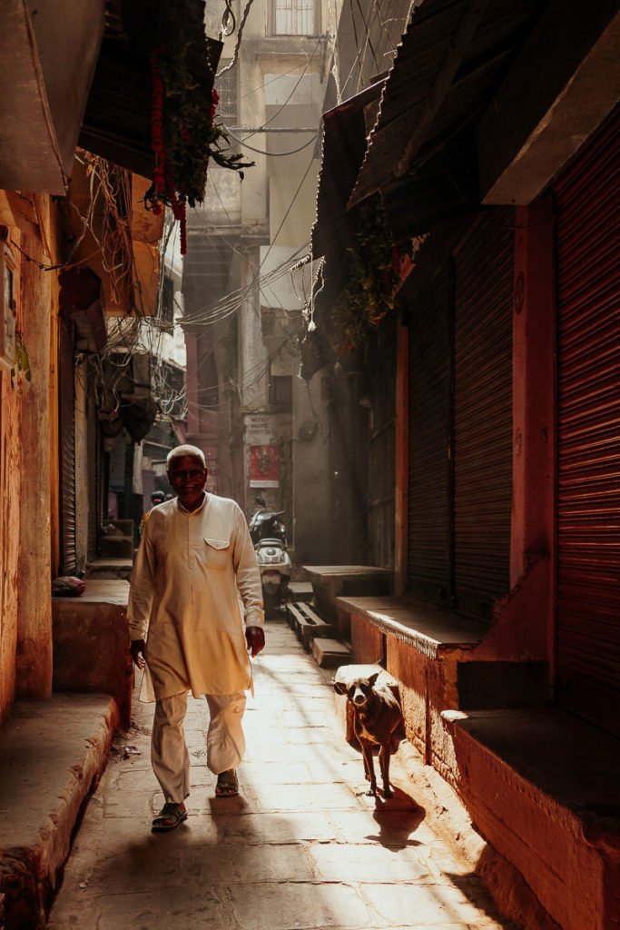 Mensch und Tier sind in Varanasi willkommen und leben Seite an Seite in den Altstadtgassen.