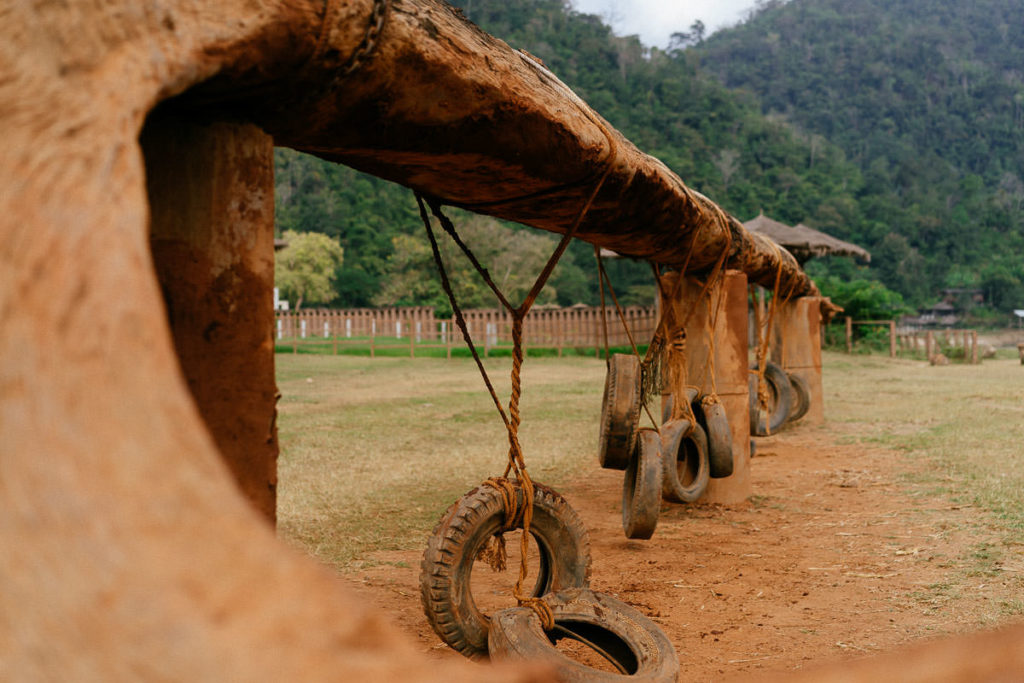 Autoreifen sind mit Stricken an Balken gehängt, damit die Elefanten etwas zu spielen haben