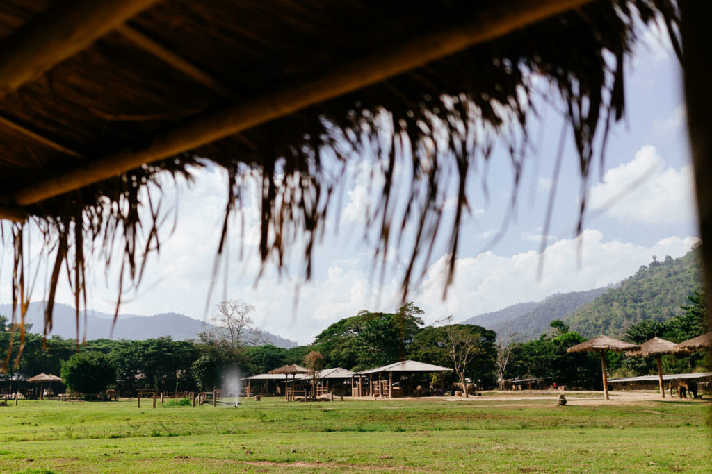 Blick auf das Gelände des Elephant Nature Parks