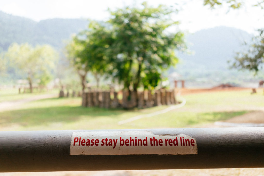 Elephant Nature Park in Chiang Mai